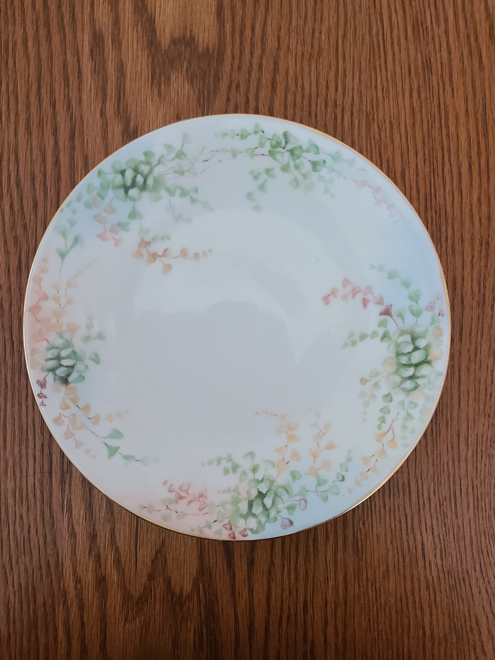 Vintage Fine Porcelain Plate